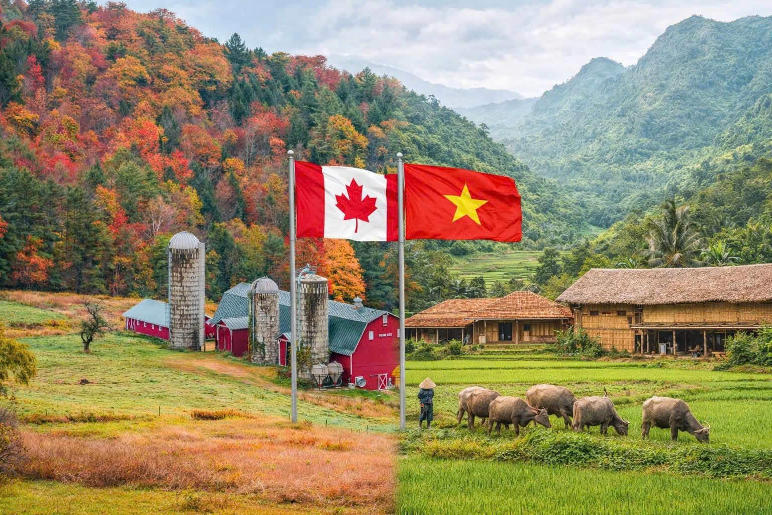 Trade between Vietnam and Canada